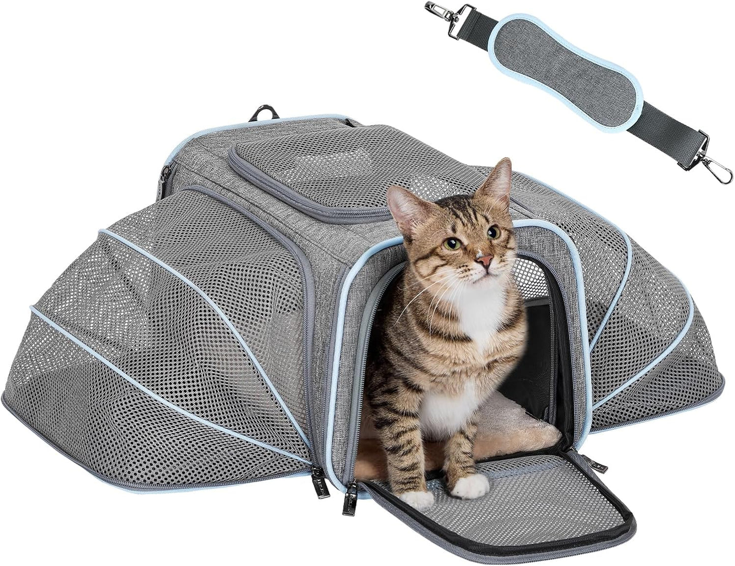 JetSet Expandable Airline-Approved Pet Carrier