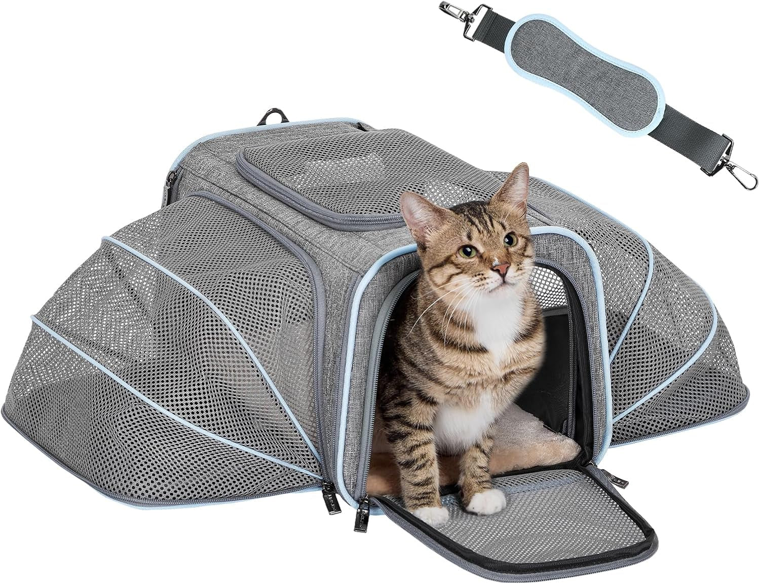 JetSet Expandable Airline-Approved Pet Carrier