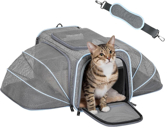 JetSet Expandable Airline-Approved Pet Carrier